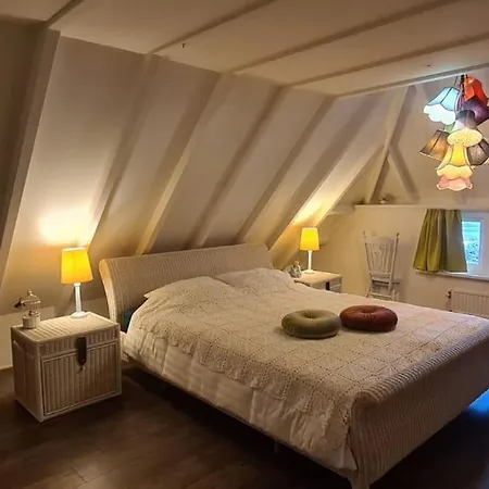 Zentopia Wellness Op De Veluwe