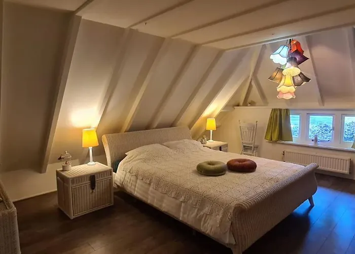 Zentopia: Met Wellness En Meer.