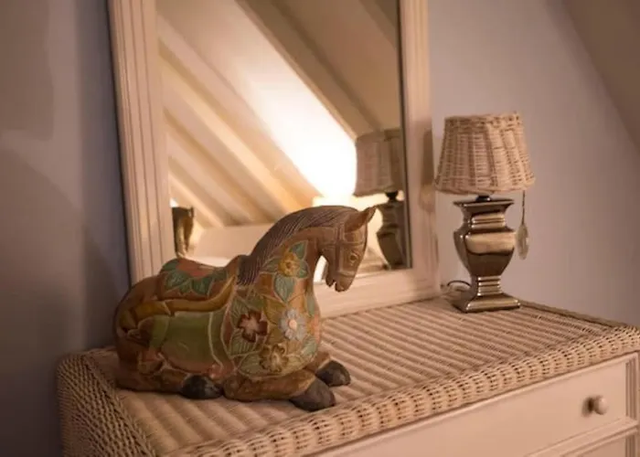 Zentopia: Met Wellness En Meer. Hulshorst